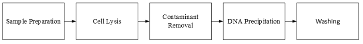 Block Flow Diagram DNA Extraction