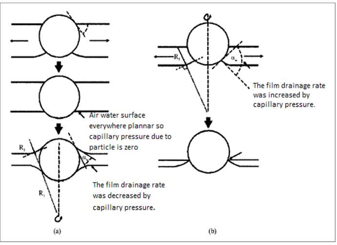 Mechanism of a foam film surface with fine spherical solid particles
